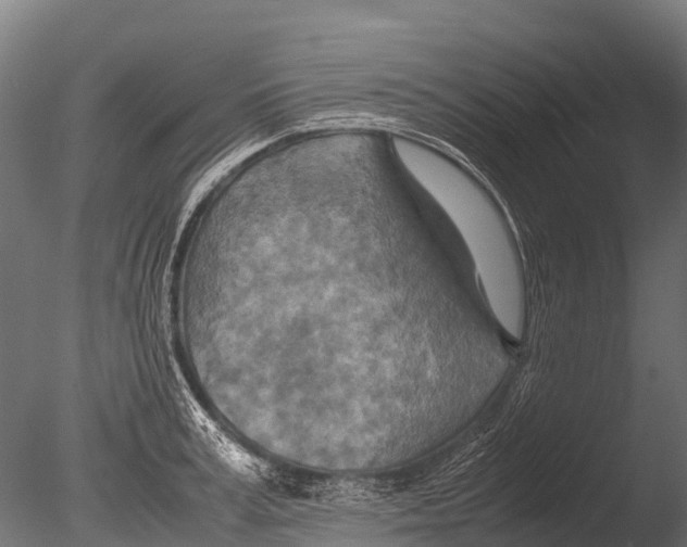 X0000085010995200704021355