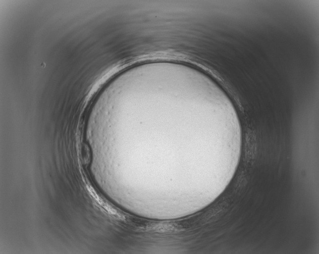 X0000085010998200704021355