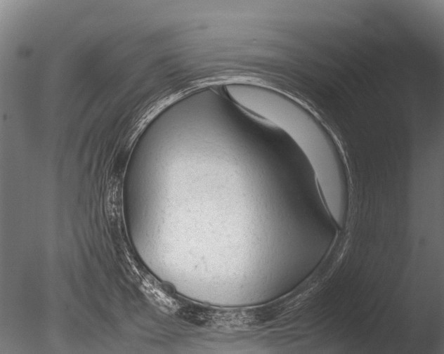 X0000085011001200704021355