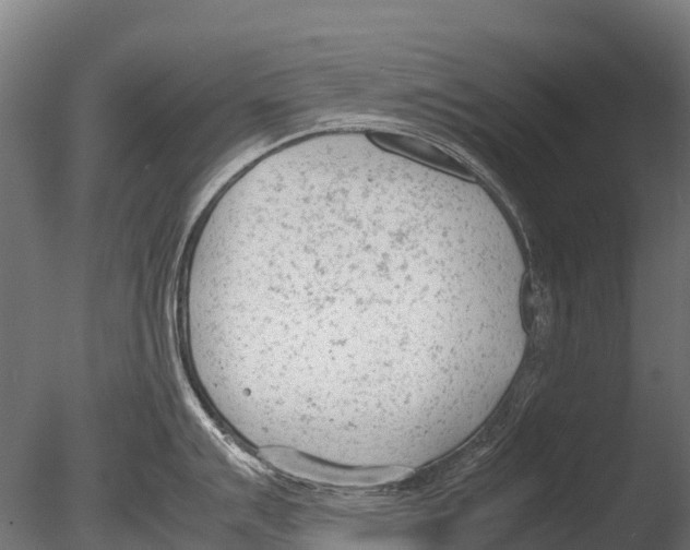 X0000085011007200704021355