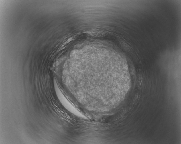 X0000085011010200704021354