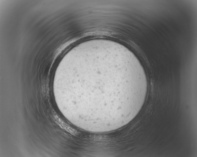 X0000085011020200704021354