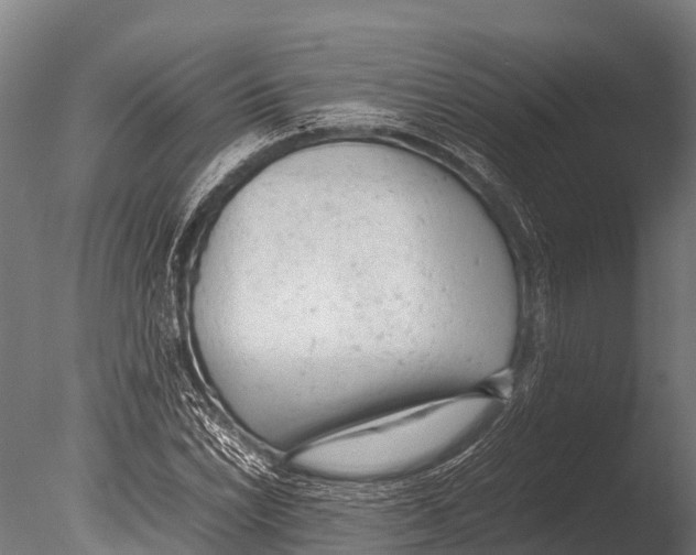 X0000085011022200704021354