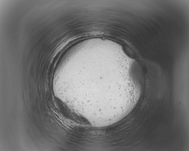 X0000085011023200704021354