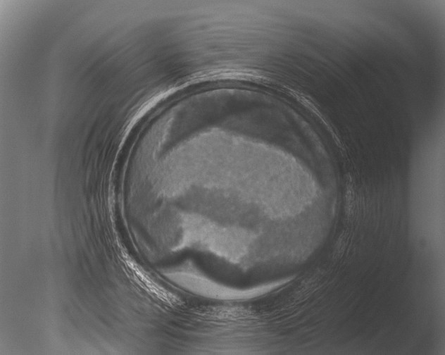 X0000085011024200704021355