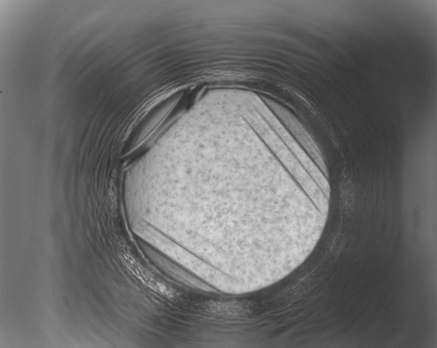 X0000085011025200704021355