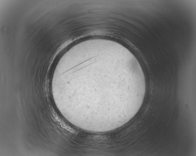 X0000085011029200704021355