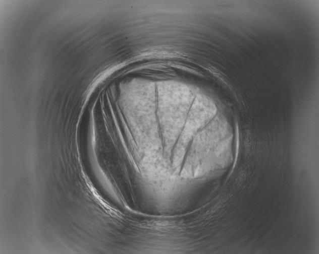 X0000085011030200704021355