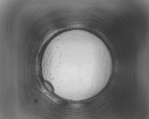 X0000085011031200704021355