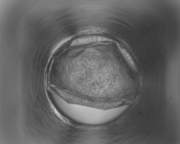 X0000085011034200704021355