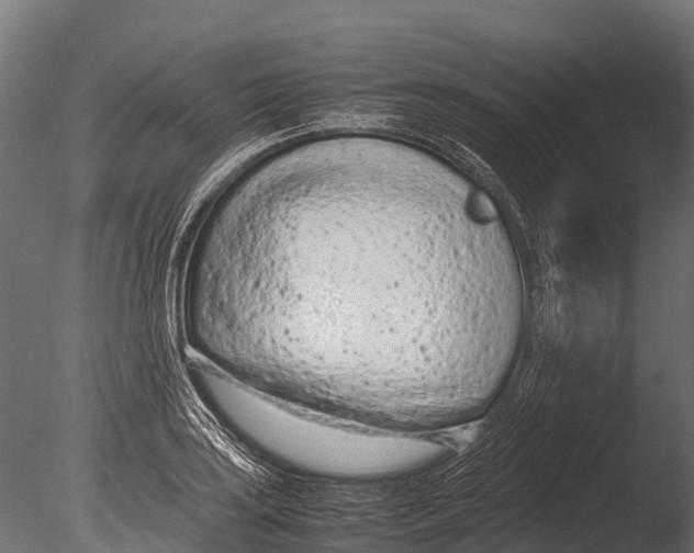 X0000085011035200704021355