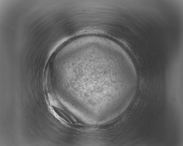 X0000085011038200704021355