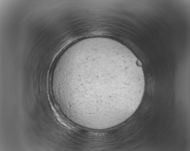 X0000085011039200704021355