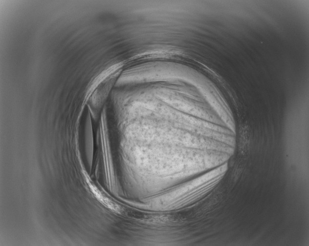 X0000085011042200704021355