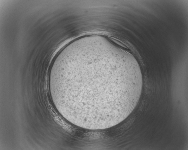 X0000085011044200704021355