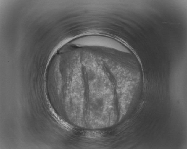 X0000085011045200704021355