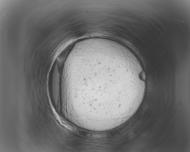 X0000085011047200704021355