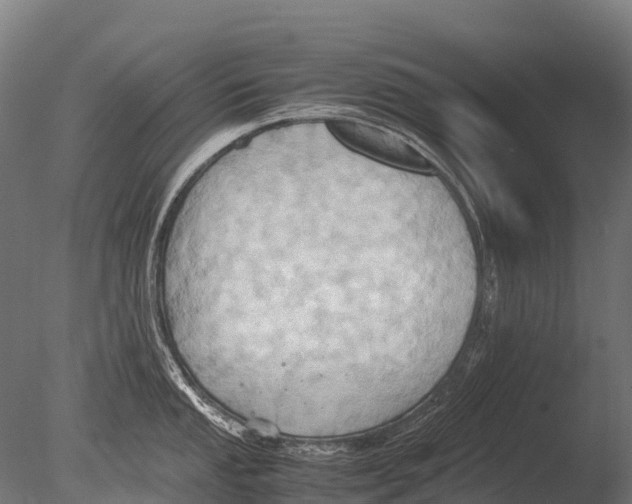 X0000085011053200704021355