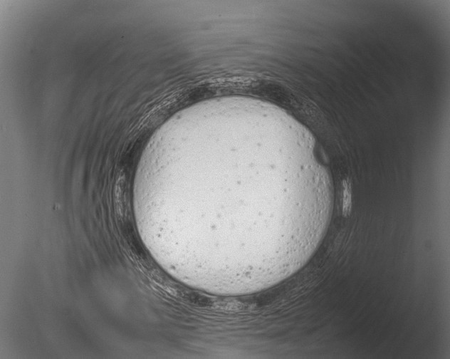 X0000085011059200704021354