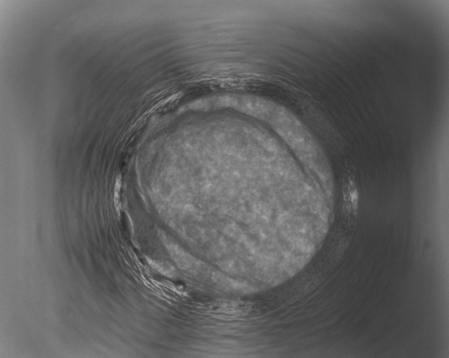 X0000085011060200704021354