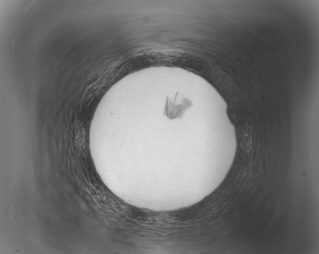 X0000085011061200704021354