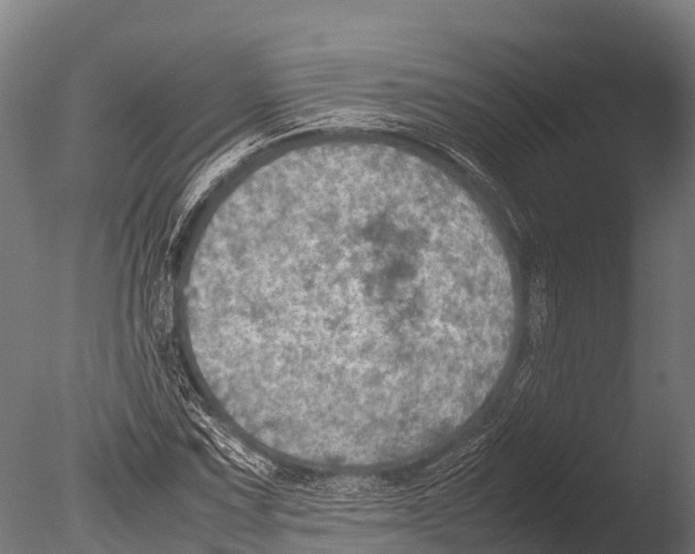 X0000085011067200704021354