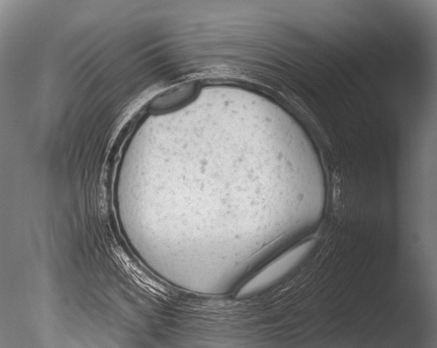 X0000085011068200704021354