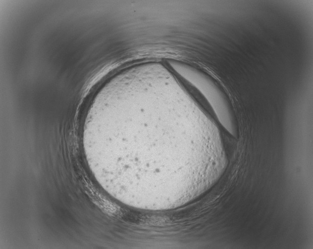 X0000085011071200704021354