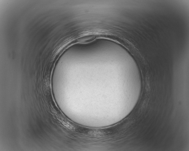 X0000085011073200704021354