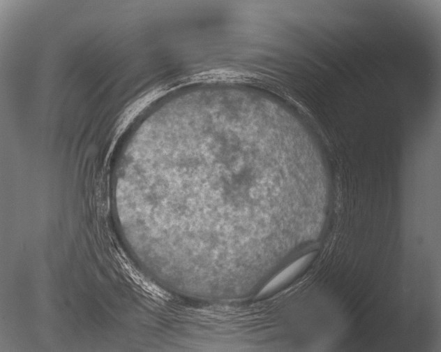 X0000085011075200704021354