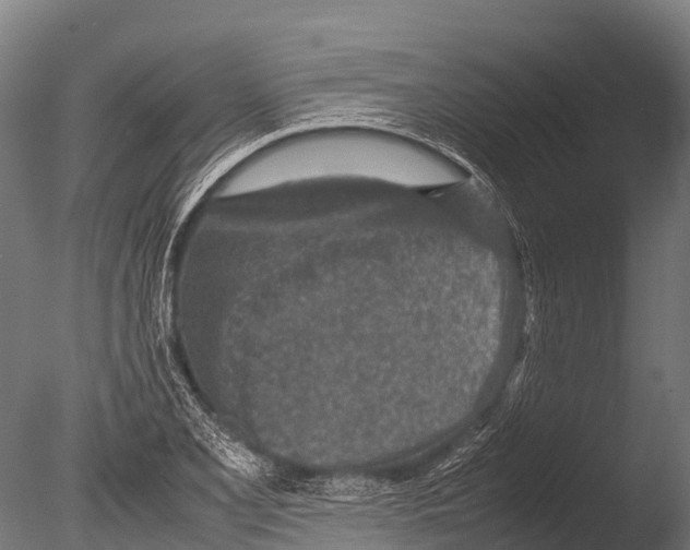 X0000085011077200704021354