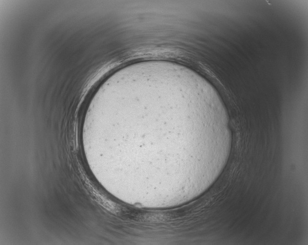 X0000085011079200704021354