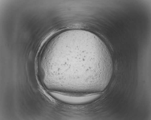 X0000085011083200704021354