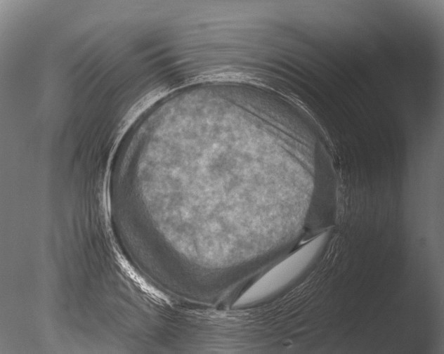 X0000085011084200704021354