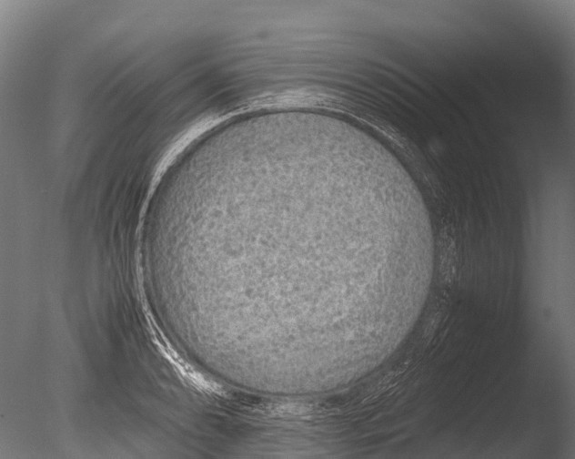 X0000085011086200704021354