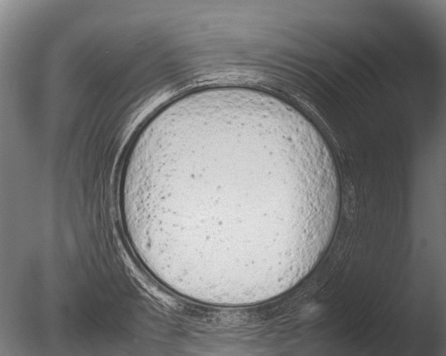 X0000085011087200704021354