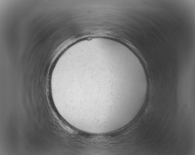 X0000085011093200704021354