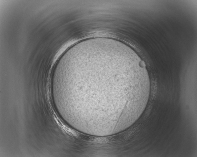 X0000085011094200704021354