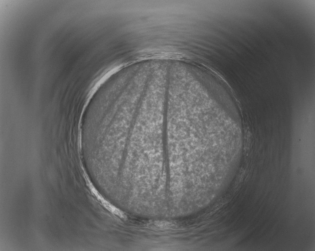 X0000085011095200704021354