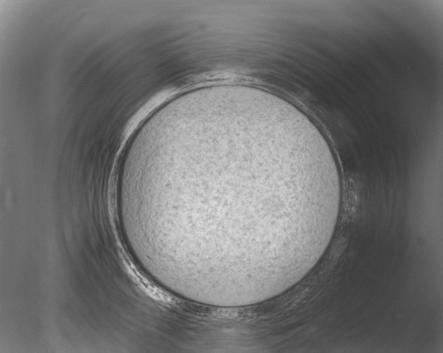 X0000085011098200704021354