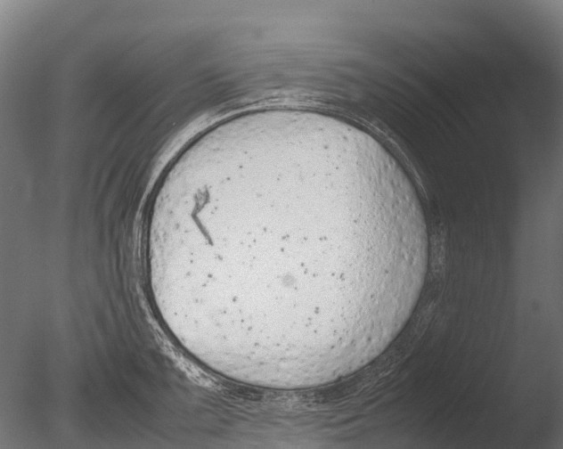 X0000085011099200704021354