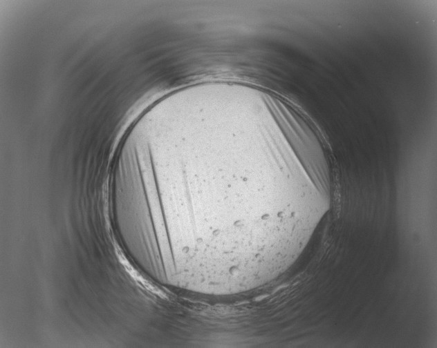 X0000085011100200704021353