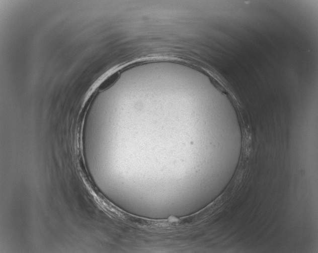 X0000085011101200704021353