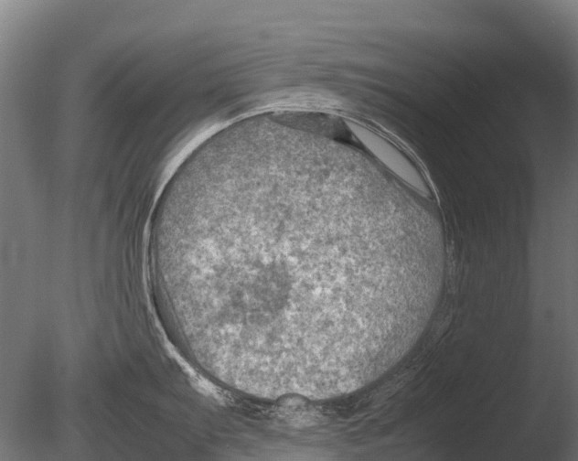 X0000085011103200704021353