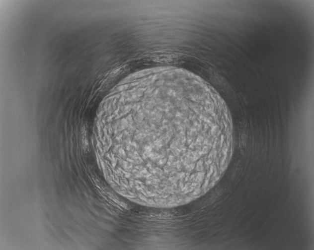 X0000085011106200704021353