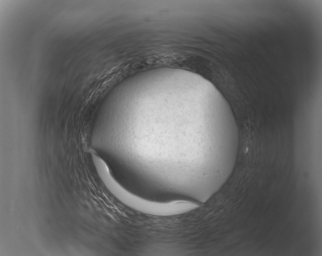 X0000085011109200704021353