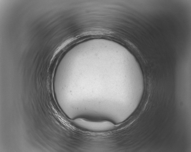 X0000085011114200704021353