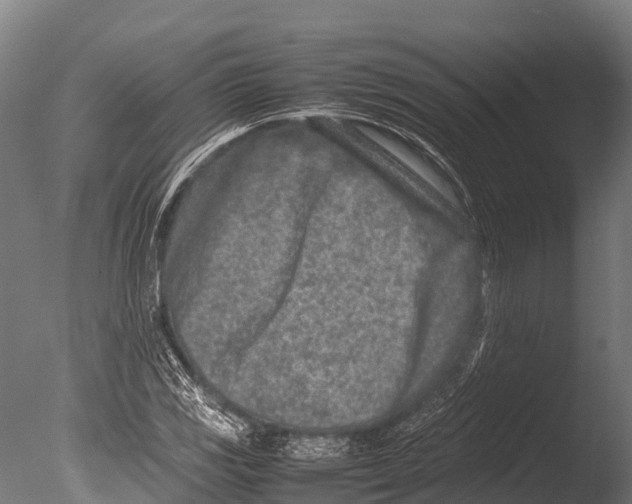 X0000085011117200704021353