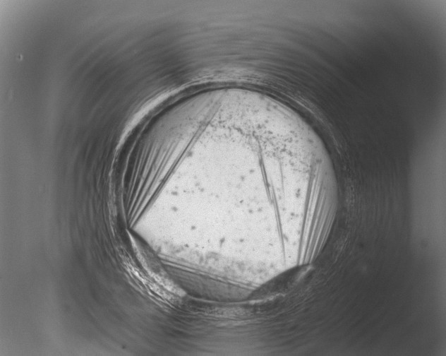 X0000085011120200704021353