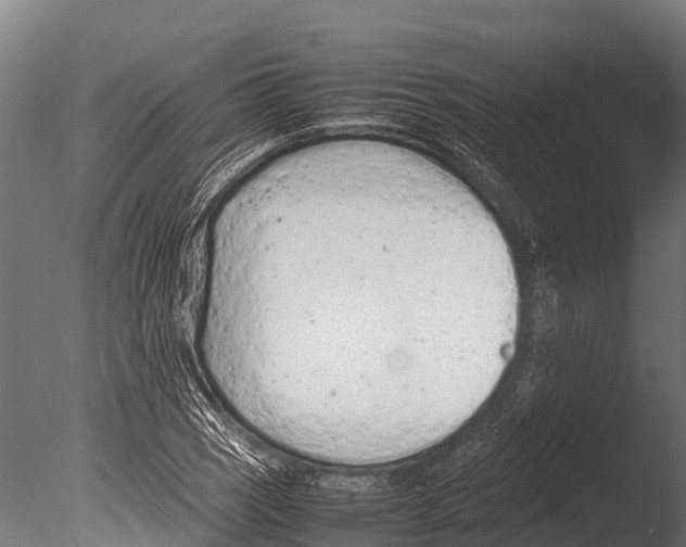 X0000085011121200704021353